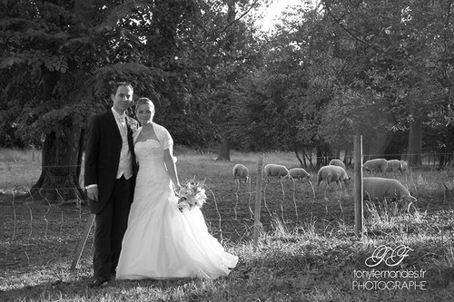 Photographe mariage - tonyfernandes.fr - photo 20