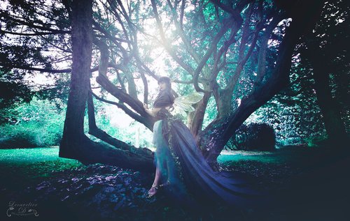 Lecavelier.D - Photographiquement - Photographe mariage - 1 Lecavelier.D - Photographiquement - Photographe mariage - 1