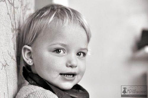 MPrioultPhotographie - Photographe - 1 MPrioultPhotographie - Photographe - 1