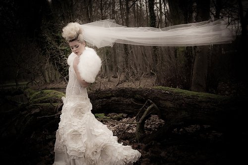 Photographe - STUDIO FLASH  - photo 34