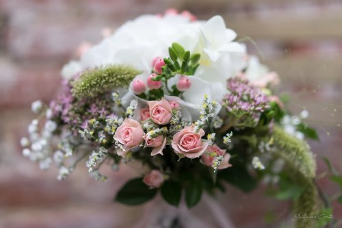 Guillaume Comte Photographe - Photographe mariage - 1 Guillaume Comte Photographe - Photographe mariage - 1