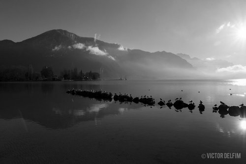 VICTOR DELFIM - Photographe - 1 VICTOR DELFIM - Photographe - 1