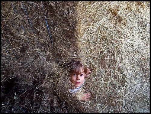 Nathalie LEFLON - Photographe - 1 Nathalie LEFLON - Photographe - 1