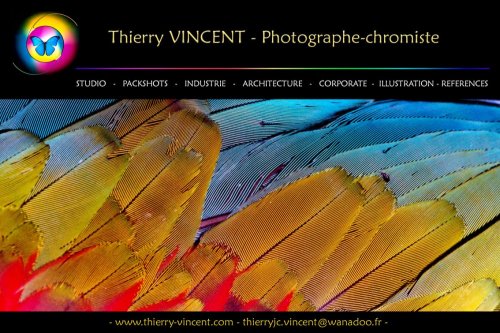 Thierry VINCENT - Photographe mariage - 1 Thierry VINCENT - Photographe mariage - 1