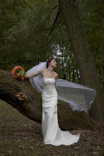PECQUEUR.G - Photographe - Photographe mariage - 1 PECQUEUR.G - Photographe - Photographe mariage - 1