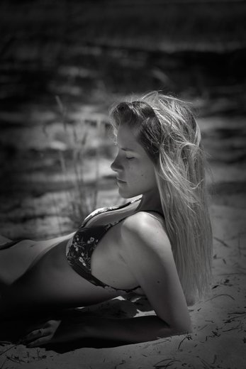 deyres photographes - Photographe - 1 deyres photographes - Photographe - 1
