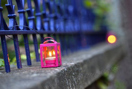 Diologent - Photographe - 1 Diologent - Photographe - 1