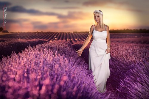 Digitregards - Photographe mariage - 2 Digitregards - Photographe mariage - 2