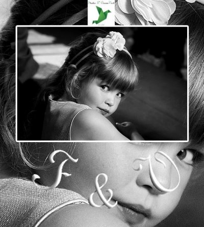Studio L' Oiseau Vert - Photographe mariage - 2 Studio L' Oiseau Vert - Photographe mariage - 2