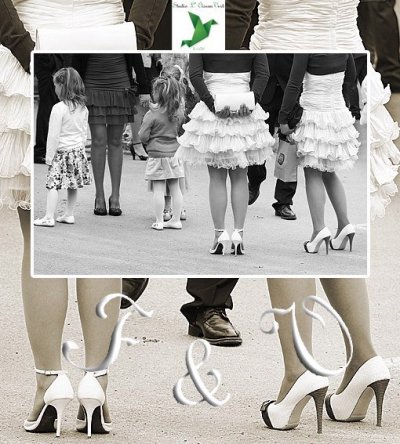 Studio L' Oiseau Vert - Photographe mariage - 1 Studio L' Oiseau Vert - Photographe mariage - 1