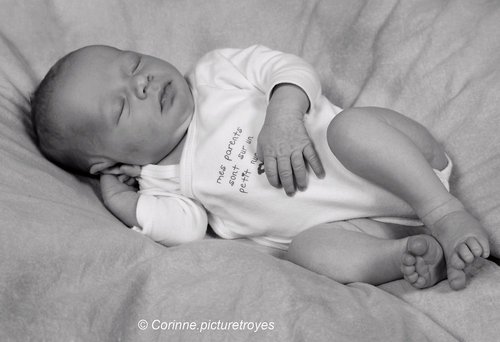 CORINNE PICTURE TROYES - Photographe - 2 CORINNE PICTURE TROYES - Photographe - 2