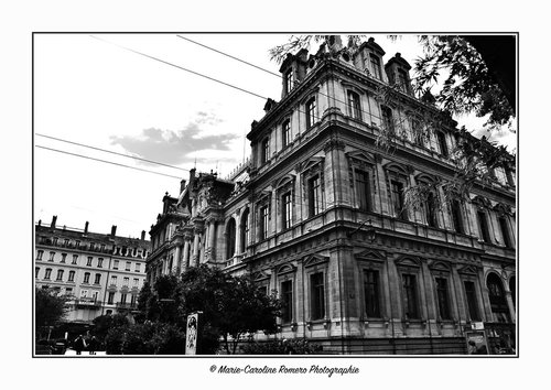 Marie-Caroline Romero Photographie - Photographe - 2 Marie-Caroline Romero Photographie - Photographe - 2