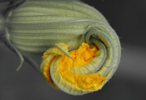 Tableauphotos par David Yaffee - Photographe - 1 Tableauphotos par David Yaffee - Photographe - 1