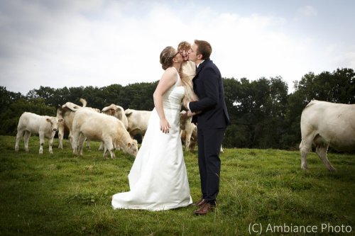 Photographe mariage - Ambiance Photo - photo 59