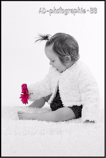 AD PHOTOGRAPHIE BB - Photographe - 2 AD PHOTOGRAPHIE BB - Photographe - 2