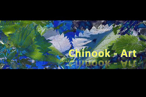 Photographe - Chinook-Art - photo 9