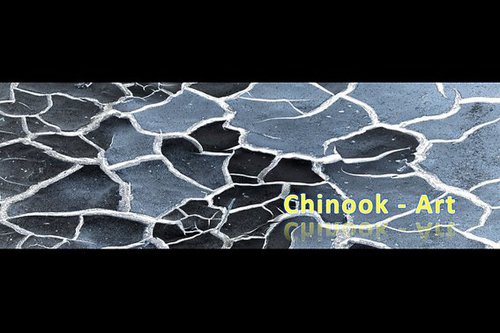 Photographe - Chinook-Art - photo 59
