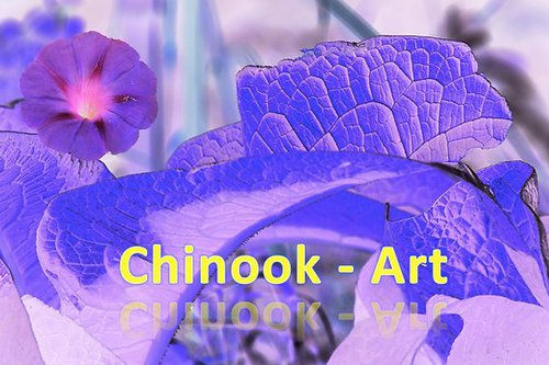  Chinook-Art - Photographe - 2