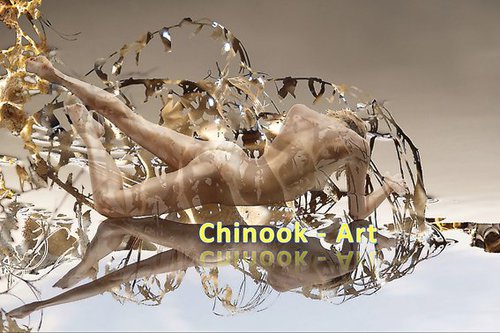 Photographe - Chinook-Art - photo 1