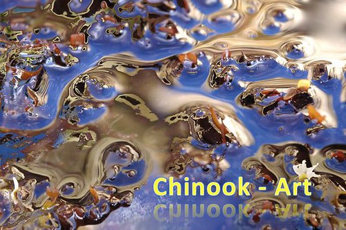 Photographe - Chinook-Art - photo 64