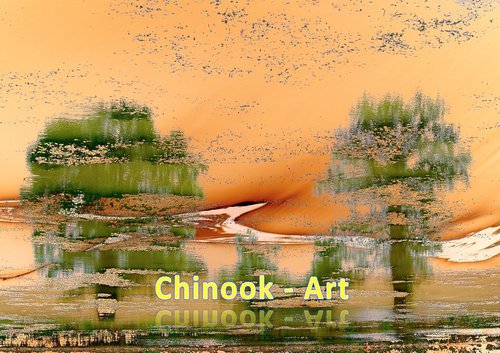 Photographe - Chinook-Art - photo 39