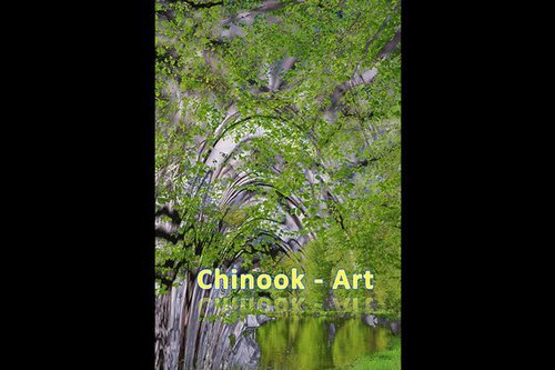 Photographe - Chinook-Art - photo 69
