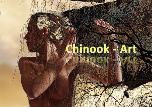 Photographe - Chinook-Art - photo 22