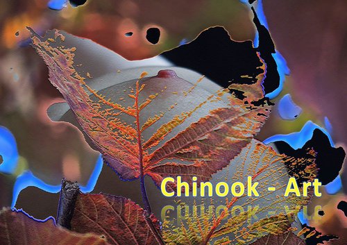 Photographe - Chinook-Art - photo 27
