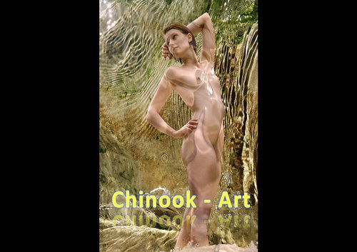 Photographe - Chinook-Art - photo 23