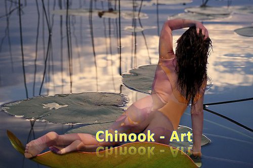 Photographe - Chinook-Art - photo 55