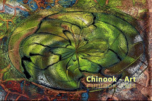 Photographe - Chinook-Art - photo 11