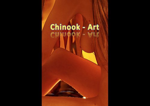 Photographe - Chinook-Art - photo 34