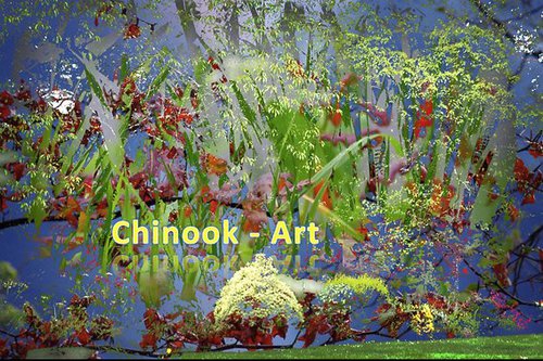 Photographe - Chinook-Art - photo 67