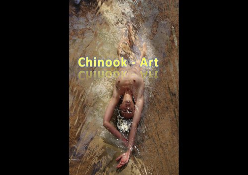 Photographe - Chinook-Art - photo 31