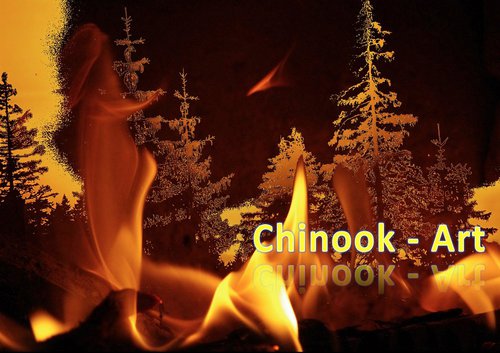 Photographe - Chinook-Art - photo 24