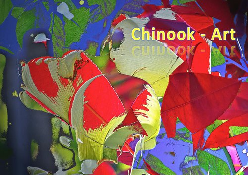 Photographe - Chinook-Art - photo 26