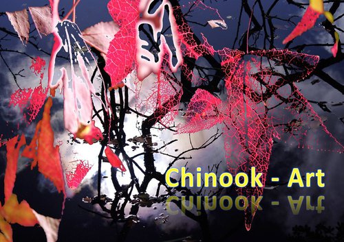 Photographe - Chinook-Art - photo 30