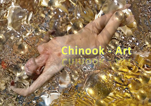 Photographe - Chinook-Art - photo 37