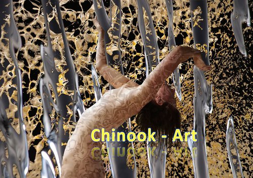 Photographe - Chinook-Art - photo 29