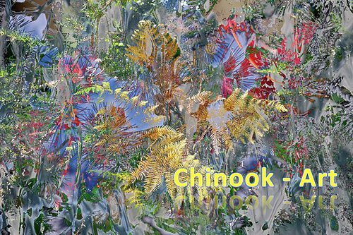 Photographe - Chinook-Art - photo 70