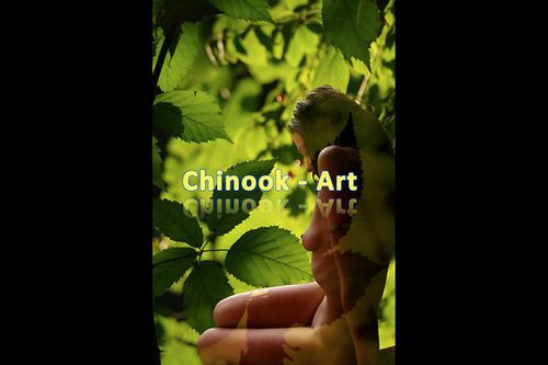 Photographe - Chinook-Art - photo 15