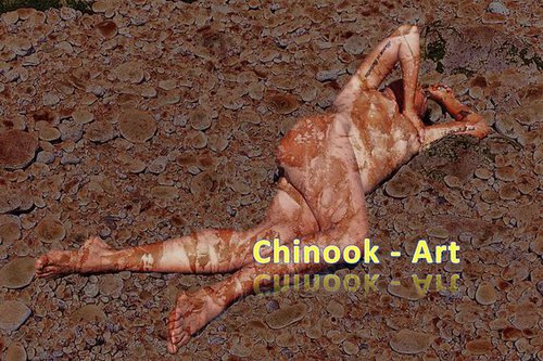 Photographe - Chinook-Art - photo 76