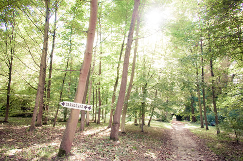 Nature Films Photography - Photographe mariage - 1 Nature Films Photography - Photographe mariage - 1