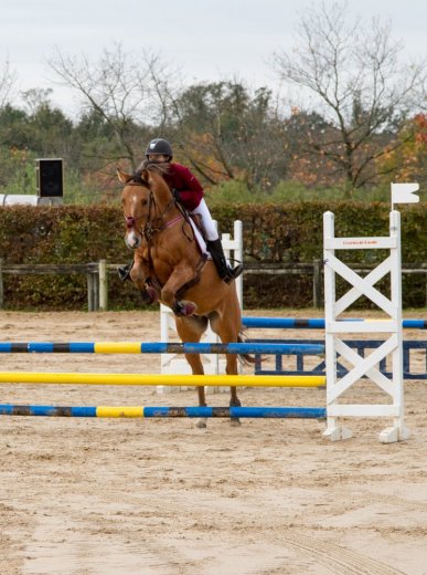 sellier christophe - Photographe - 1 sellier christophe - Photographe - 1