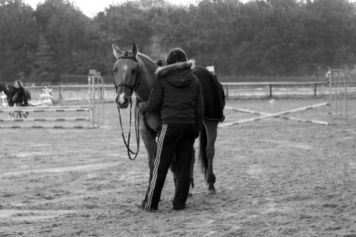 sellier christophe - Photographe - 2 sellier christophe - Photographe - 2