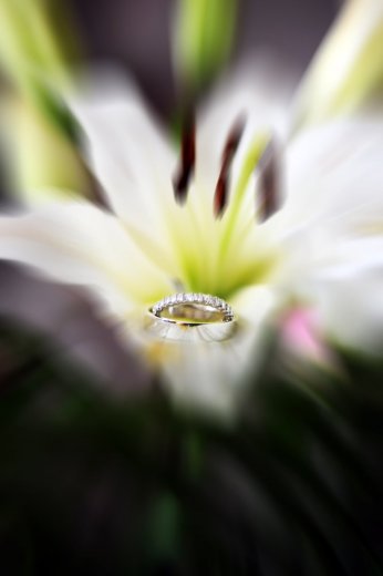 alexandra gaggi - Photographe mariage - 2 alexandra gaggi - Photographe mariage - 2