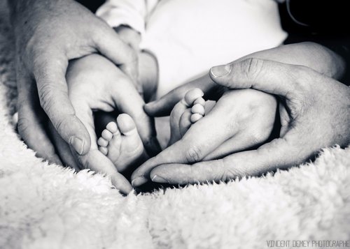Vincent Demey Photographe - Photographe mariage - 1 Vincent Demey Photographe - Photographe mariage - 1