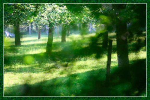 verneuil - Photographe mariage - 1 verneuil - Photographe mariage - 1