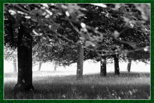 verneuil - Photographe mariage - 2 verneuil - Photographe mariage - 2