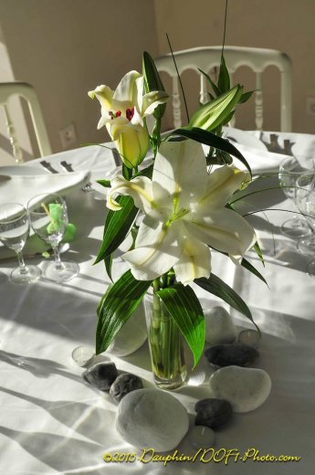 DOF1 - Photo Studio - Photographe mariage - 2 DOF1 - Photo Studio - Photographe mariage - 2